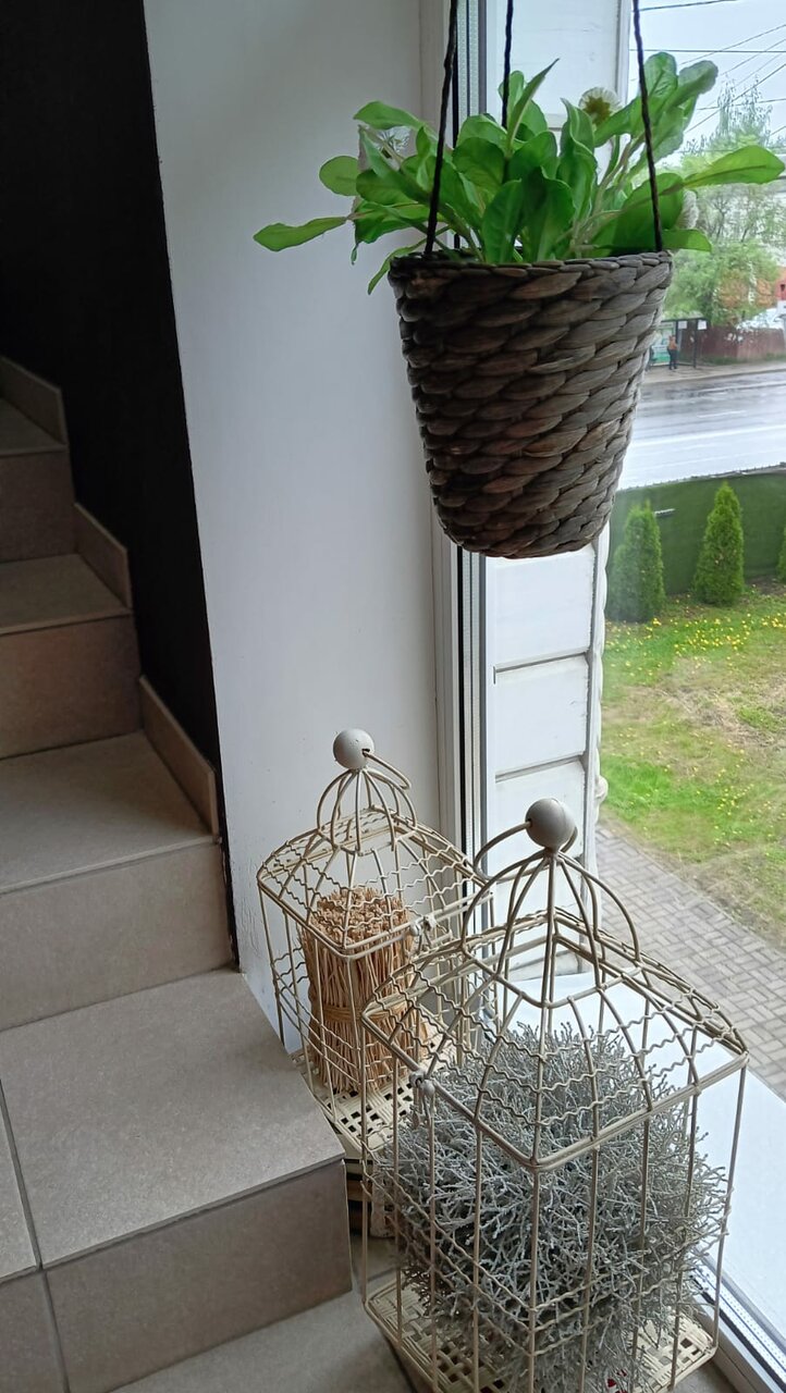 Гостиница Библиотека Вологда-252