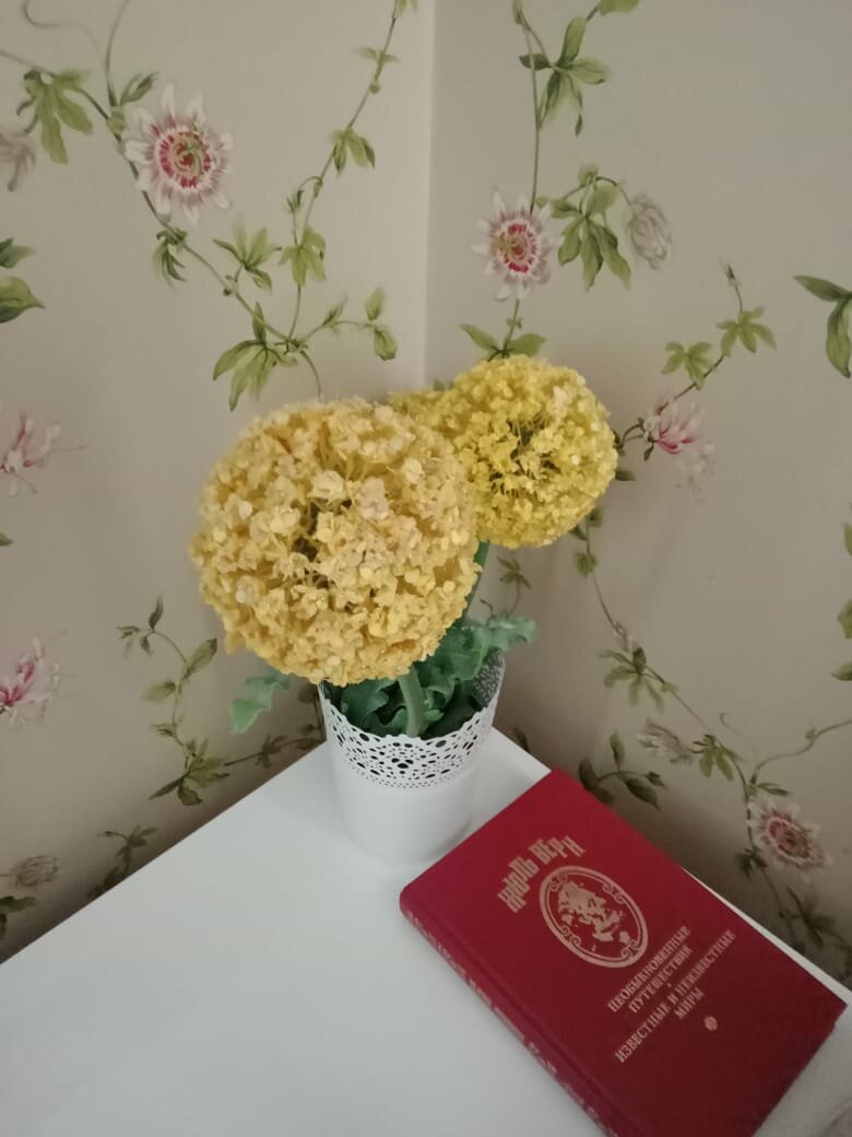 Гостиница Библиотека Вологда-173