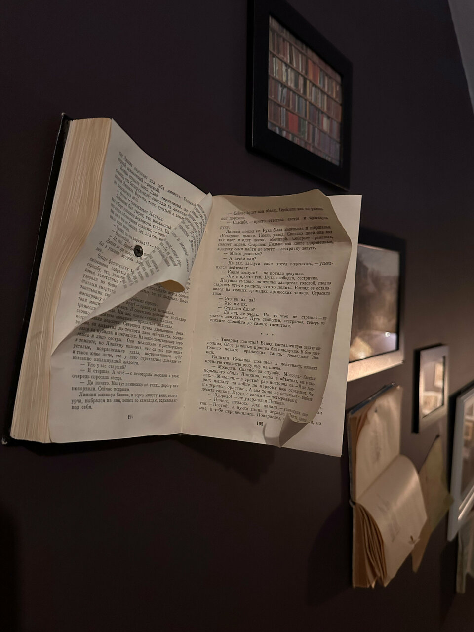 Гостиница Библиотека Вологда-237