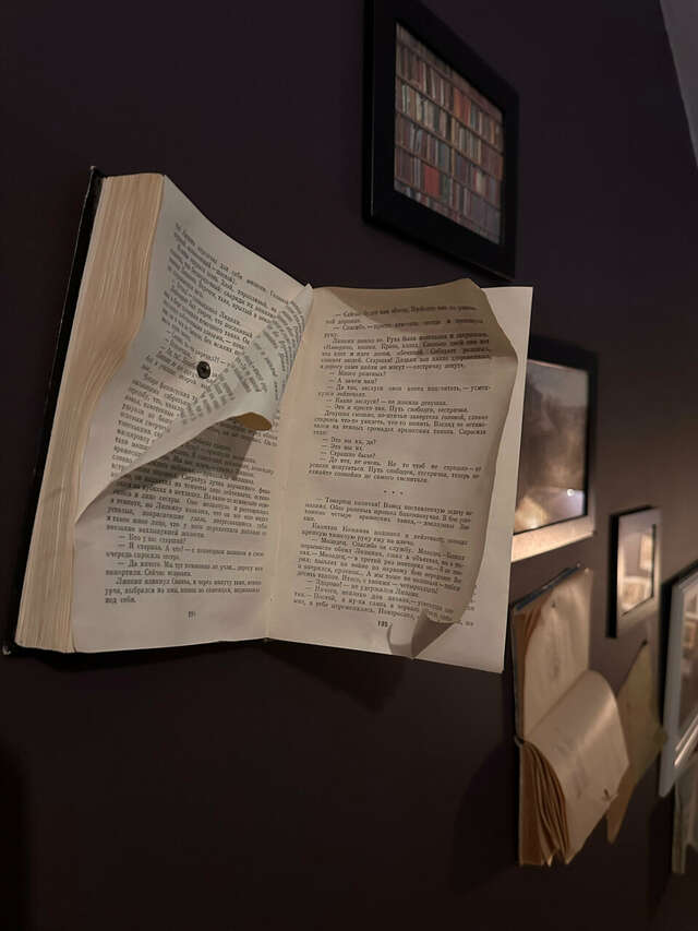 Гостиница Библиотека Вологда-236